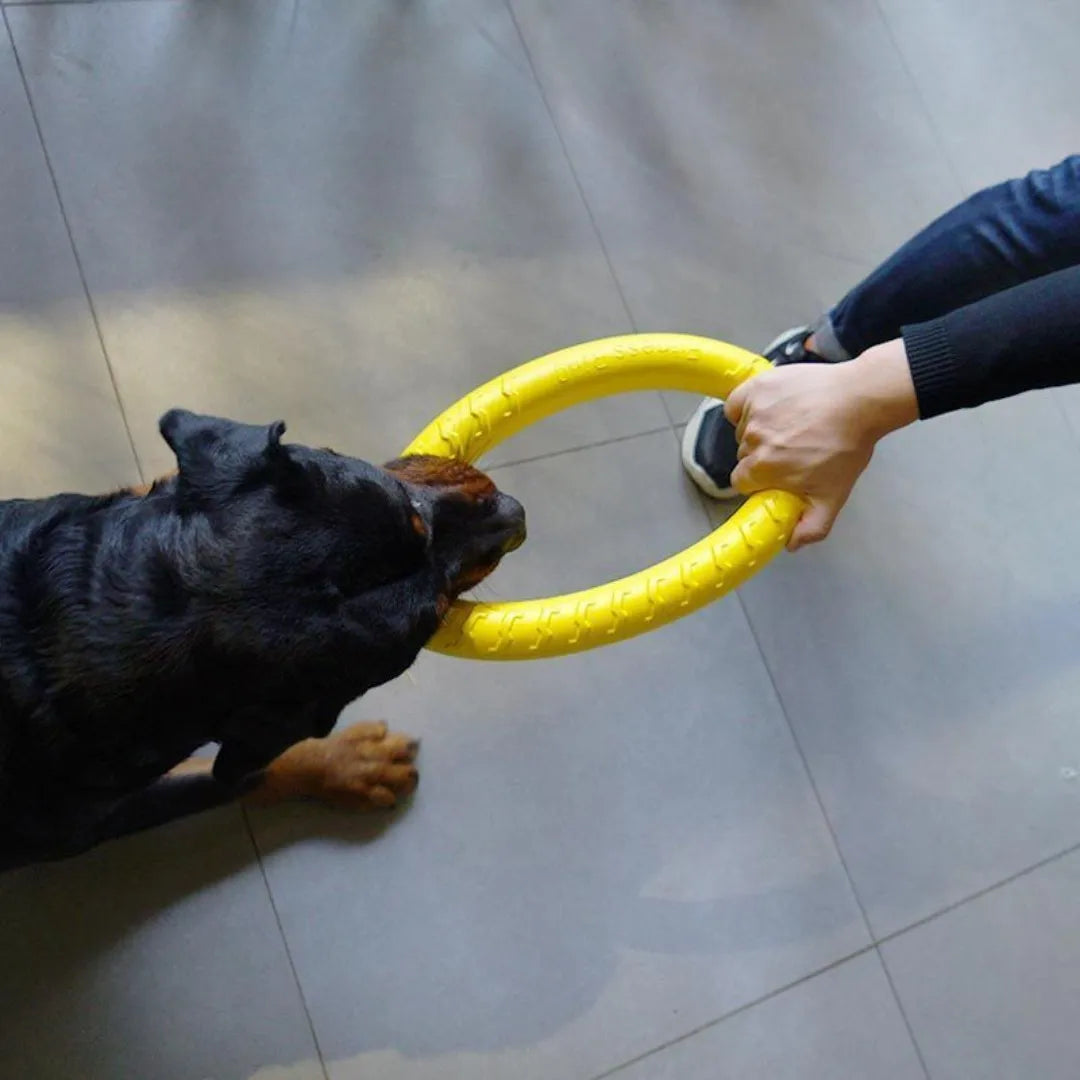 Dog Ring Toys Indestructible Chewing Flying Floating Training Tools Fetch for Small Medium Large Dogs Throwing Catching Flying